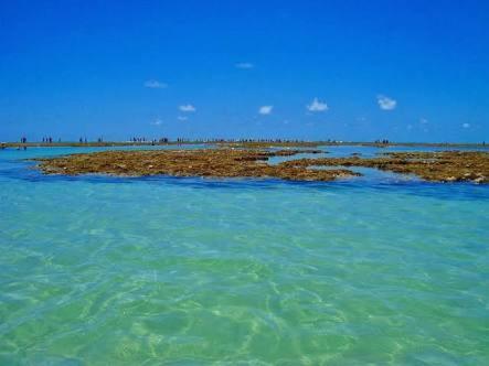 Palm Village - O Melhor De Cupe E Porto Porto de Galinhas Bagian luar foto