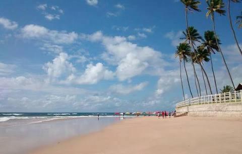 Palm Village - O Melhor De Cupe E Porto Porto de Galinhas Bagian luar foto